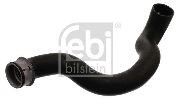 Radiator Hose (46455)
