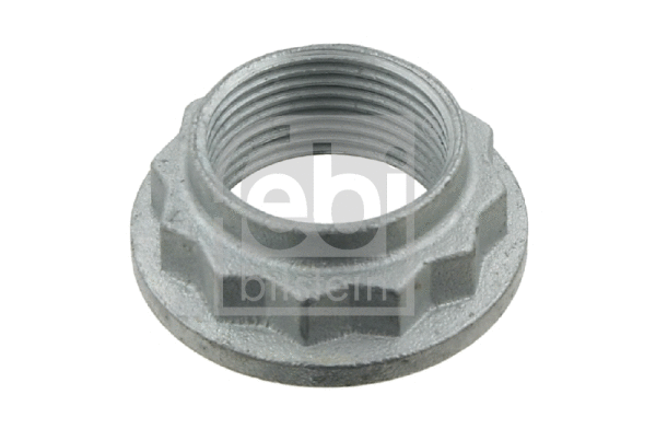 Axle Nut, drive shaft (01701)