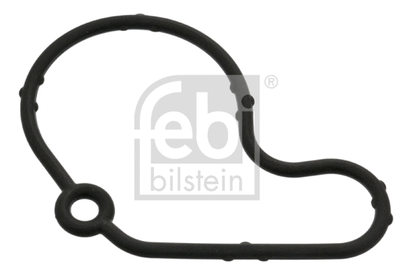 Gasket, vacuum pump (100797)
