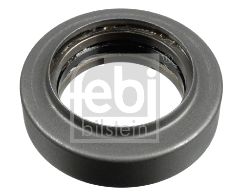 Bearing, steering knuckle (173065)