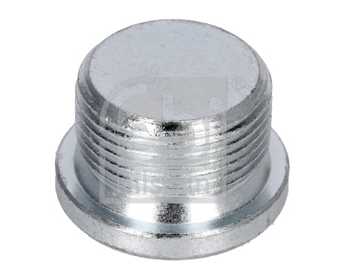 Screw Plug, oil sump