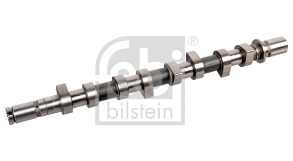 Camshaft (176351)