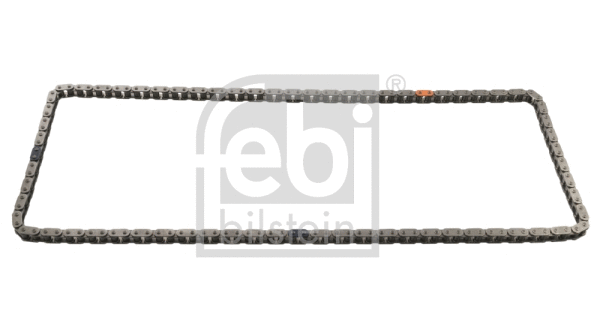 Timing Chain (49763)