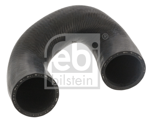 Radiator Hose (46517)