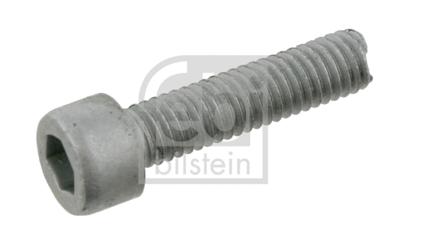 Screw (08953)
