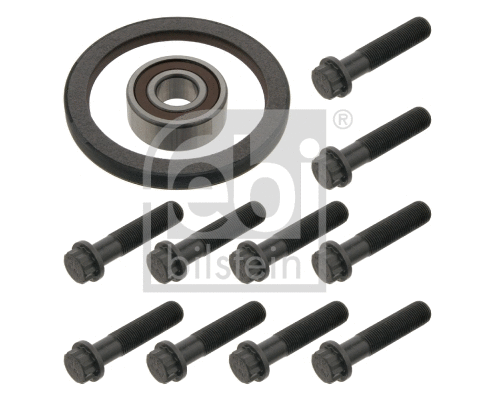Repair Kit, flywheel (31384)
