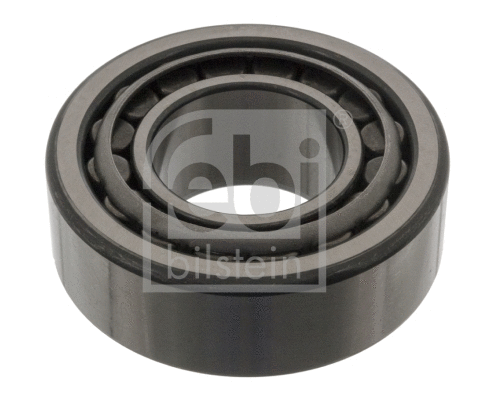 Wheel Bearing (47220)