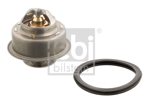 Thermostat, coolant (14773)