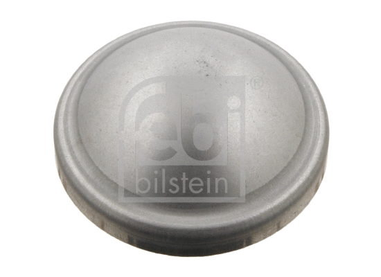 Cap, wheel bearing (29854)
