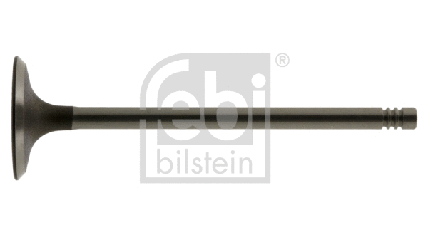 Intake Valve (12823)