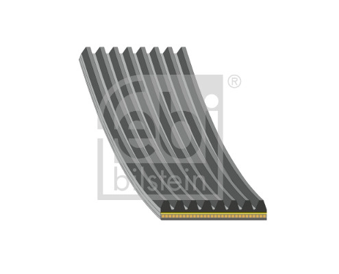 V-Ribbed Belt (184942)
