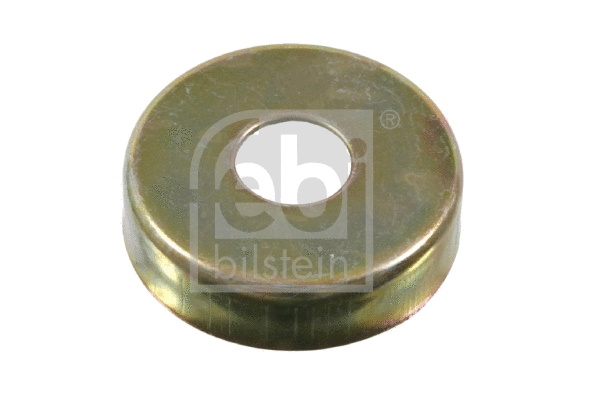 Sealing Cover, steering arm shaft (05887)