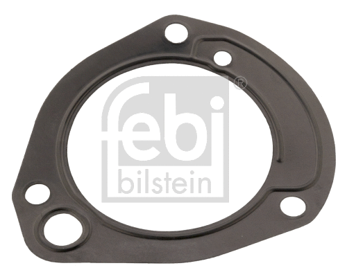 Gasket, fuel pump (171325)
