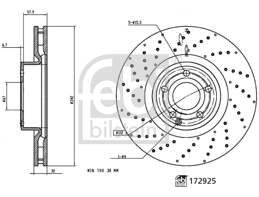Brake Disc (172925)