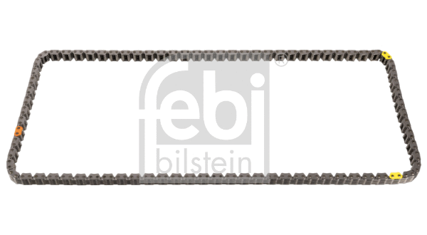 Timing Chain (100620)