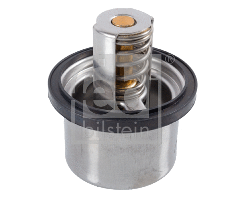 Thermostat, coolant (11848)