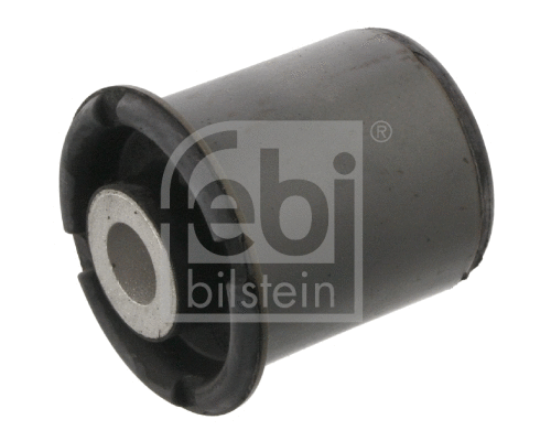Bushing, axle beam (34683)
