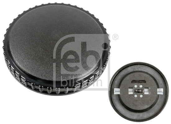 Cap, fuel tank (170562)