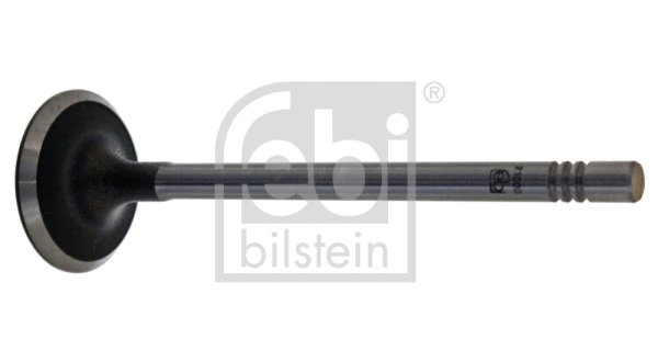 Intake Valve (21000)