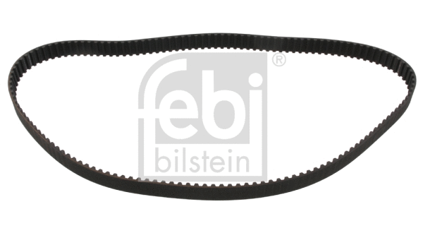 Timing Belt (17761)