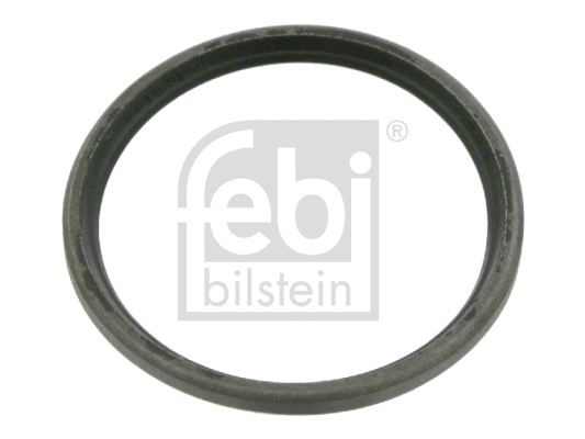 Seal Ring, steering knuckle (04324)