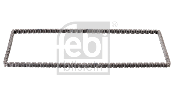 Timing Chain (176113)