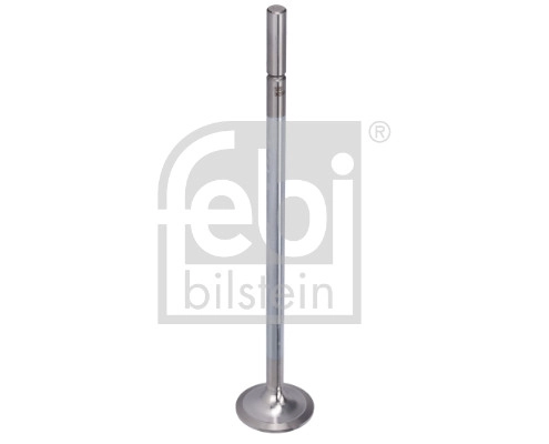 Intake Valve (183197)