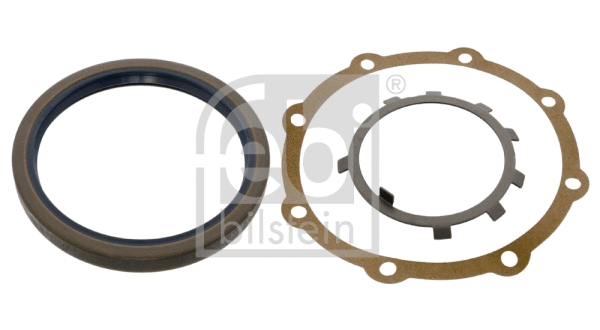 Gasket Set, wheel hub (06760)