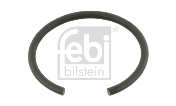 Circlip (06065)