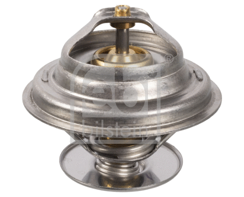 Thermostat, coolant (15846)