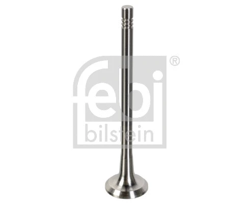 Exhaust Valve (181075)