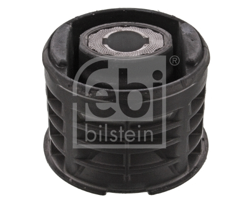 Bushing, axle beam (36717)