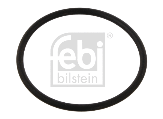 Seal Ring, steering knuckle (32434)