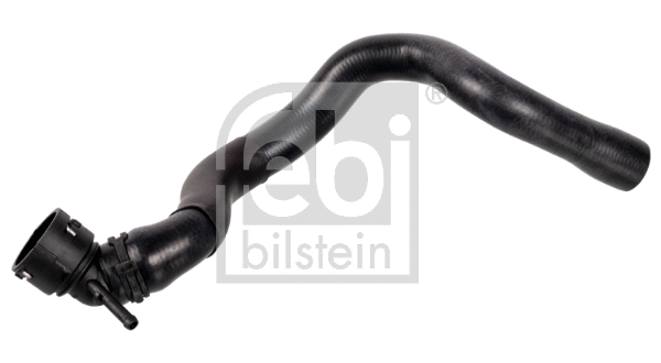 Radiator Hose (172966)