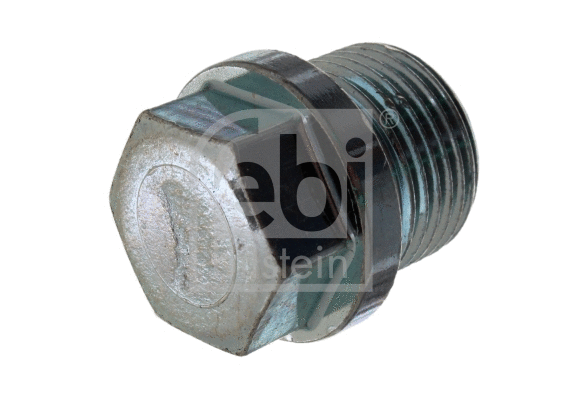 Screw Plug, oil sump (48879)