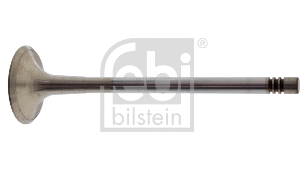 Exhaust Valve (21034)
