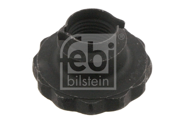 Nut, stub axle (46689)