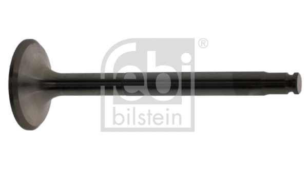 Exhaust Valve (15369)