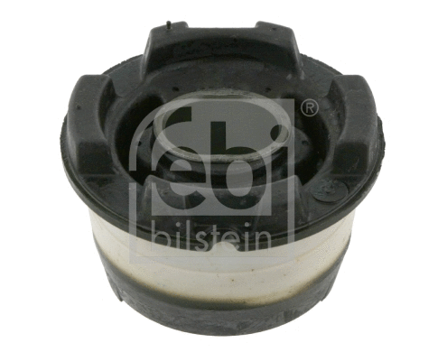 Bushing, axle beam (22961)