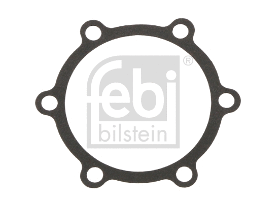 Gasket, water pump (30561)