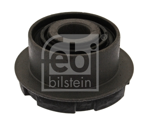 Mounting, control/trailing arm (10251)