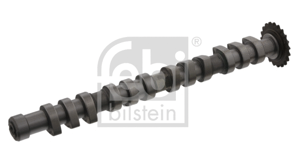 Camshaft (33191)