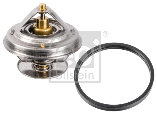 Thermostat, coolant (172219)