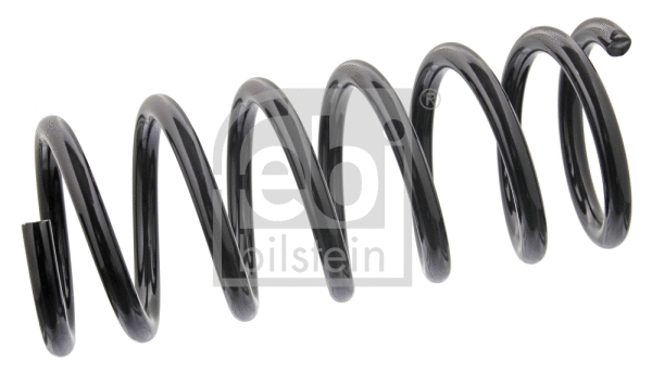 Suspension Spring (47248)