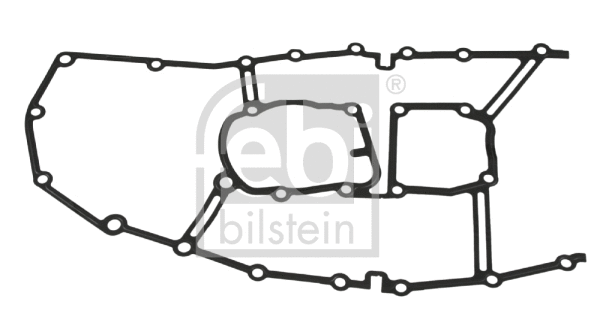 Gasket, timing case (22564)