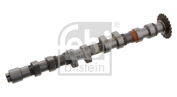 Camshaft (33013)