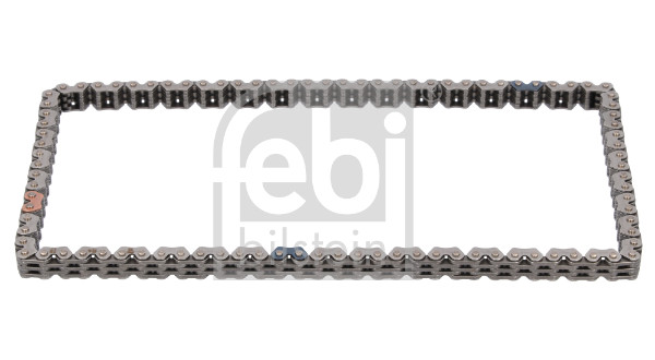 Timing Chain (184789)
