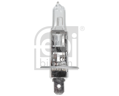 Bulb, front fog light (172728)