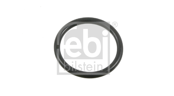 Gasket Kit, timing case (22568)