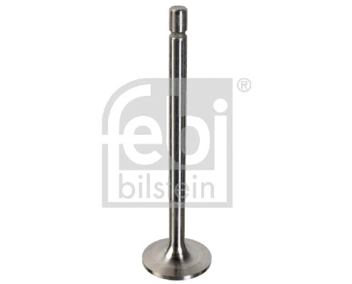 Intake Valve (180395)